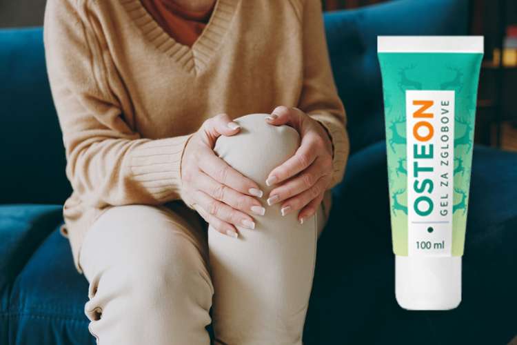 Osteon sastojci